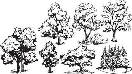 Set Trees. Hand drawn vector illustration	