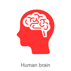 human brain