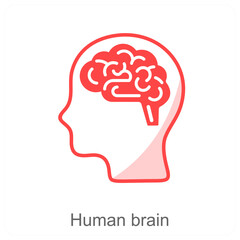 human brain
