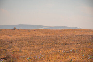 sunrise in the field