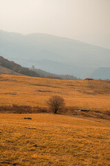 Obraz premium morning in the mountains