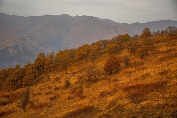 Fototapeta premium autumn landscape in the mountains