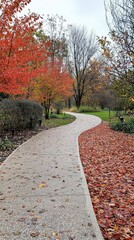 Fototapeta premium Serene Autumn Walkway with Vibrant Orange Leaves