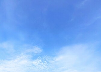 The background is a bright blue sky with white clouds which is very beautiful