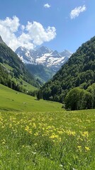 Obraz premium Panoramic View of Swiss Alps with Lush Green Hills