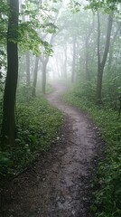 Fototapeta premium Mysterious Foggy Path Through Lush Forest