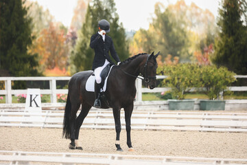 Salute to the dressage judges. The black horse starts riding in the individual competition....