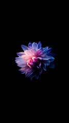 Vibrant flower with glowing petals, dark background