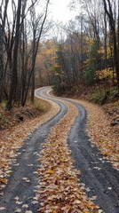Fototapeta premium Charming Autumn Road Covered in Fallen Leaves