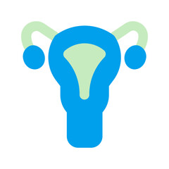 uterus duo tone icon