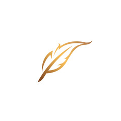 golden feather logo vector. feather icon design