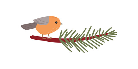 Winter Bird American Robin Perched on a Pine Branch, Bird Illustration in flat doodle Style isolate on white for holidays design .