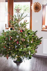 Decorated Christmas tree and paper snowflakes above it.
