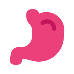 stomach flat icon