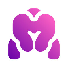 pelvis gradient icon