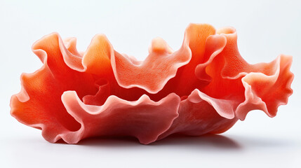 Close-up image of a vibrant orange coral with intricate wave-like patterns on a white background, highlighting its delicate and textured surfaces.