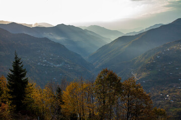 A stunning mountain range with trees creates a beautiful landscape