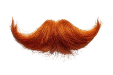 Ginger Beard on White Background, vibrant ginger beard showcasing rich texture and detail, emphasizing the uniqueness of the subject