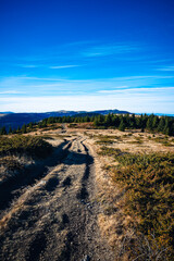 Scenic hiking trail winding through a sunny landscape with trees under a clear blue sky during the day