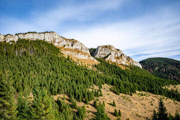 Naklejka premium White stones illuminating over apuseni mountains covered by green fir trees forest under blue sky
