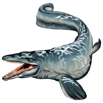 Watercolor painting Dakosaurus isolated on transparent background PNG