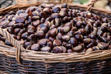 castagne