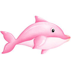 Colorful creatures of the ocean
