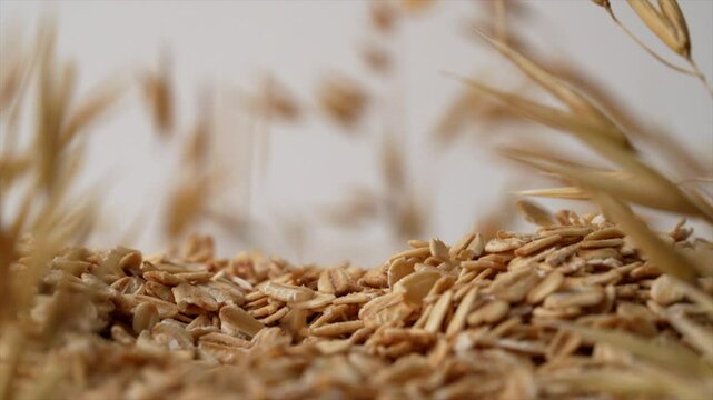 Rolled oats falling from top with oat crops in background.