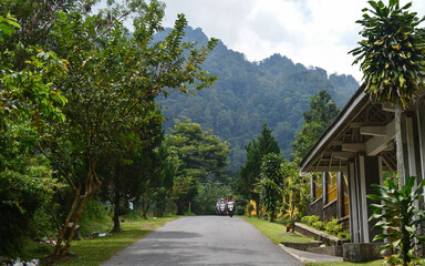 road in the village
