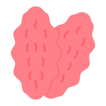 Thymus icon vector image. Can be used for Human Anatomy.