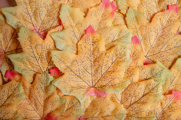

Autumn themed leaves.A beautiful autumn themed arrangement on a brown background. A set of artificial fall leaves.