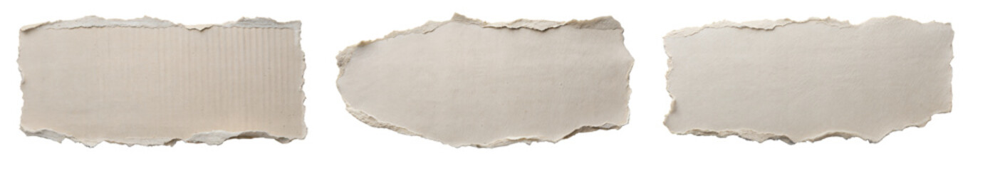 Obraz premium Set of Torn Blank Paper Pieces with Rough Edges, Isolated on White Background for Text or Design
