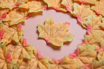 

Autumn themed leaves.A beautiful autumn themed arrangement on a brown background. A set of artificial fall leaves.