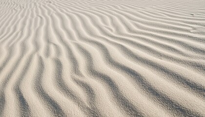 微かな輝きが映える白砂のテクスチャ、ナチュラルで心地よい質感