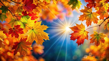 Obraz premium Vibrant autumn leaves changing color in the sunlight, fall, foliage, seasonal, orange, red, yellow, autumnal, vibrant