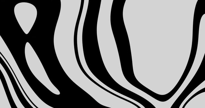 A black and white abstract painting full of swirls and lines, giving it a sense of movement and energy. The overall mood of the painting is dynamic. Seamless loop animation