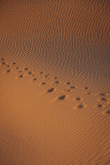 Views of the Dubai desert at sunset, footprints in the sand, with wind sweeping grains off the dunes.