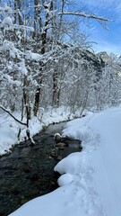 River in Winter 