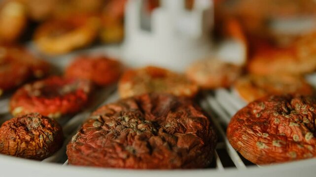 High-Detail Close-Up of Amanita Mushrooms Being Dehydrated on a White Tray
