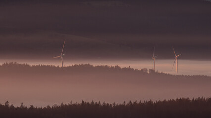 Sunset in the Teplice-Adršpašské rocks. The sun is low on the horizon and the inverted clouds...