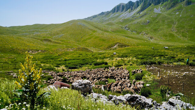 Campitello Matese,la strada panoramica SP106,Campobasso,Molise,Italia