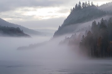A  sunlight foggy scene with nature in the background