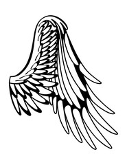 Wings sketch. Stylized birds wings. Hand drawn contoured stiker wing in open position. Vector design elements in coloring style