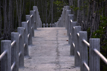 forest viewing bridge