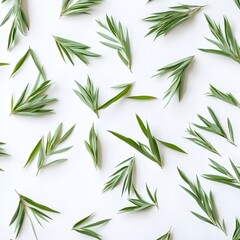 Green leaves pattern on white background