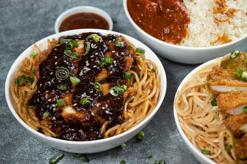 Teriyaki Grilled Chicken Noodles, Katsu Chicken Noodle, Butter Chicken with Rice served in bowl isolated on grey background side view of assorted japanese food verity assortment