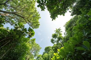 Lush green foliage stretching up towards the sky, leafy greens, lush green, vertical pattern, nature texture