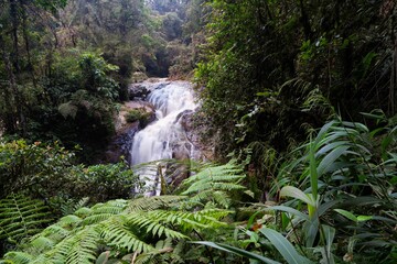 Serene Robinson Falls cascading through lush green foliage in Cameron highland, Malaysia