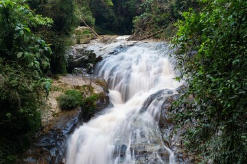 Serene Robinson Falls cascading through lush green foliage in Cameron highland, Malaysia