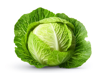 Obraz premium cabbage head isolated on white background.